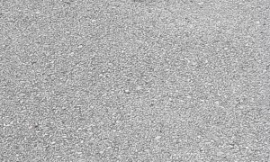 Happy Pet Raccoon Greets Owner after Wilderness Vacation