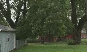 Tree on Fire During Downpour