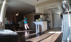 Doggy Gets Stuck in Bar Stool