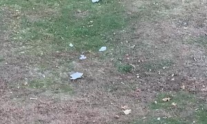 Black Bear Takes Off with Trash