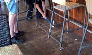 Snake Tries to Belly Up to the Bar