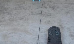 Dog Jumps on Three Moving Skateboards