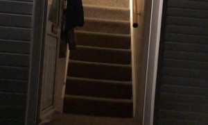 Stair Sledge Stunt Leads to Scrapes