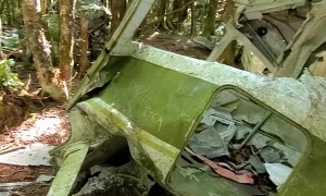 Hiker Finds Plane Wreckage