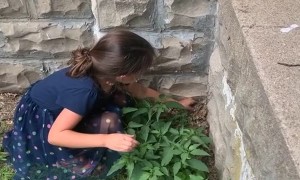 Girl Attempting to Help Frog Backfires