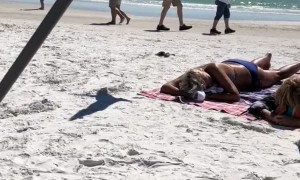 Seagull Snatches Cracker off Sun Tanning Woman