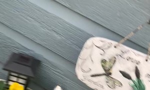 Grandparents Get to See Grandson After 7 Months of COVID