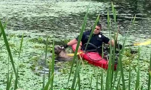 Quick-thinking police officer uses kayak to save dog from drowning in muddy pond
