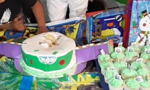 Boy Buries Head into Birthday Cake