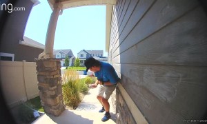 Protective Birds Guarding Nest Swoop at Door Salesman