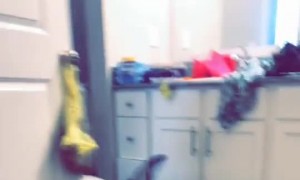 How to Scare Your Cat