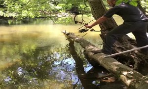 Arrow Ricochets off Log in Close Call