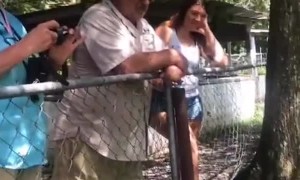 Gator Says, "Good Morning"