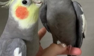 Everyone loves a good #loveceremony 🥰 • •