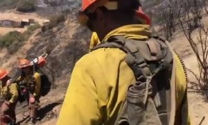 Orange County Firefighters rescued lost dog on the fire line