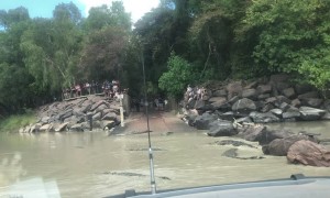 Traffic Jam in Australia's Northern Territory