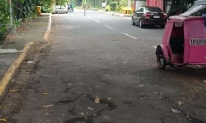 Loose Ostrich Needs ID Pass to Enter Village