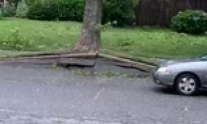 Footage captures the moment Hurricane Isaias knocks over tree in Long Island