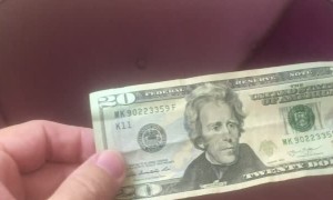 20 Dollar Bill Predicts Covid Masks