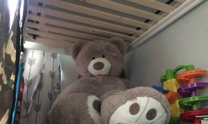 Boy Not Fooled by Big Bear