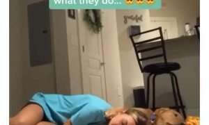 What happens when you invade a dog's personal space?