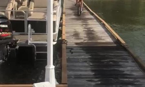 Dad Jumping BMX Bike into Lake Fails