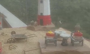 Hummingbird Water Park and Playground