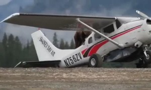 Large Grizzly Bear Climbs onto Airplane