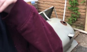 Birthday Gift of Seeing Color for for the First Time