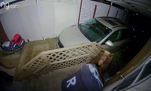 Bear Breaks Into Bear-Proof Trash Can