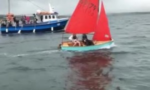 Local dolphin becomes famous for swimming with tourists
