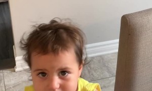 Toddler and Dad Have an Adorable Dispute