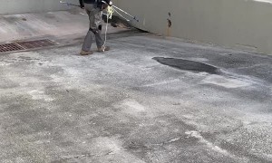 Fence Climbing Alligator Removed From School