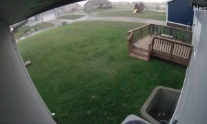 Trampolines Blow Across Yard Like Tumbleweeds