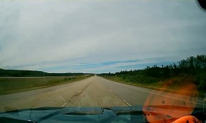 Bear Runs Across Highway in Front of Big Rig