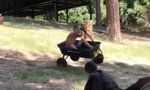 Wagon Ride Ends in Spectacular Roll