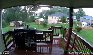 Lightning Strikes Neighbor's Tree