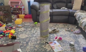 Kids Getting Stuck In Things