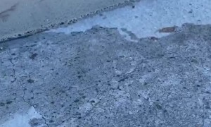 Helping Birds Hydrate in the Desert Heat