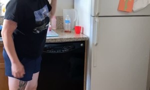 Feisty Kitty Defends Paper Plates