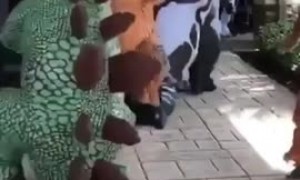 Dance party consists of people dressed up in dinosaur costumes