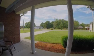 Hawk Flies Straight Into House