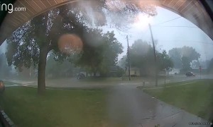 Huge Storm Splits Tree in Two