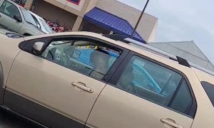 Dog Doesn't Like Giving Directions