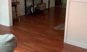 Coots Helps Make Parenting a Little Easier