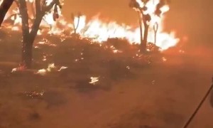 Firefighters fight to put out Dome Fire in Mojave National Preserve