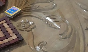 Kitty Loves Playtime on the Table