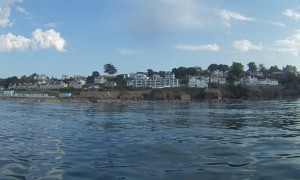 Wild Dolphins Jumping for Wheelchair Paddle Boarder