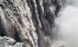 Mysterious Creature Spotted in Iceland