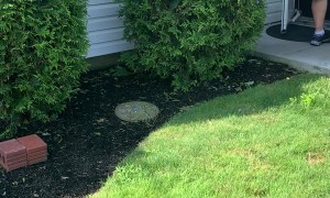 Grandmother Finally Meets First Grandchild Due to Covid-19